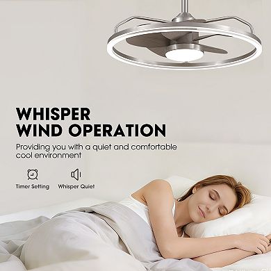 Moooni 24" Smart Modern Low Profile Ceiling Fan with Dual Dimmable LED Light