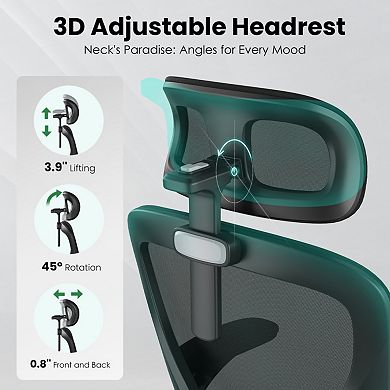 Ergonomic Office Chair with Adjustable Lumbar Support & Headrest, Mesh Desk Chair for Office Study