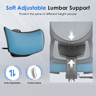 Ergonomic Mesh Office Chair with Adjustable Lumbar Support & Headrest, 3D Armrest for Office, Study