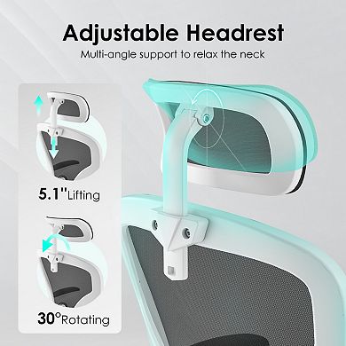 Ergonomic Office Chair with Adjustable Lumbar & Headrest, Mesh Desk Chair for Office, Study