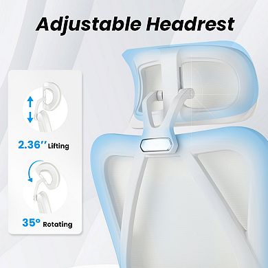 Ergonomic Office Chair with Adjustable Lumbar Support & Mesh Back, Computer Chair for Office, Study