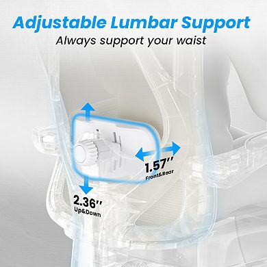 Ergonomic Office Chair with Adjustable Lumbar Support & Mesh Back, Computer Chair for Office, Study