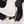 White Cow