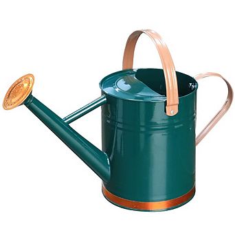 Stainless Steel Metal Watering Can 1 Gallon Removable Spout Garden Decor