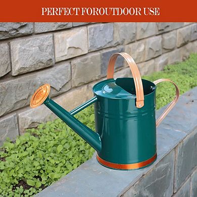 Stainless Steel Metal Watering Can 1 Gallon Removable Spout Garden Decor
