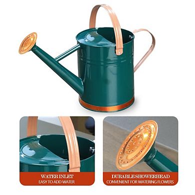 Stainless Steel Metal Watering Can 1 Gallon Removable Spout Garden Decor