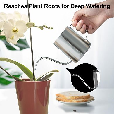 304 Stainless Steel Small Indoor Plant Watering Can Long Spout Ergonomic Handle