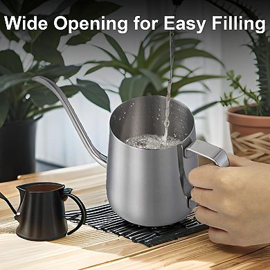 304 Stainless Steel Small Indoor Plant Watering Can Long Spout Ergonomic Handle