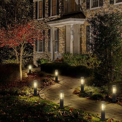 C Cattleya 12-Pack 15.75-Inch Black Solar LED Outdoor Path Lights