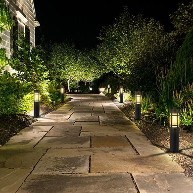 C Cattleya 6-Pack 15.75-Inch Black Solar LED Outdoor Path Lights
