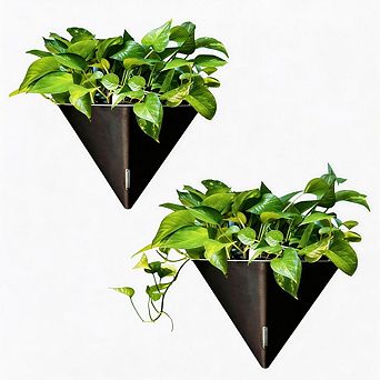 Kaelin Home Wall Planters for Indoor Plants - 2 Pack