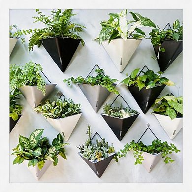 Kaelin Home Wall Planters for Indoor Plants - 2 Pack