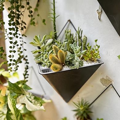 Kaelin Home Wall Planters for Indoor Plants - 2 Pack