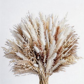 Kaelin Home Natural dried pampas grass , dried flowers