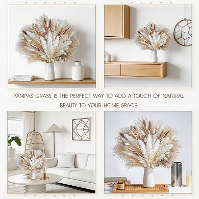 Kaelin Home Natural dried pampas grass , dried flowers