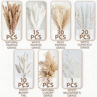 Kaelin Home Natural dried pampas grass , dried flowers