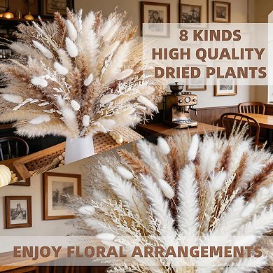 Kaelin Home Natural dried pampas grass , dried flowers
