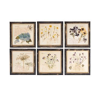Hello Honey Square Wood Framed Wall Décor with Floral Images and Information, Multicolor, Set of 6