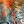 Teal Orange