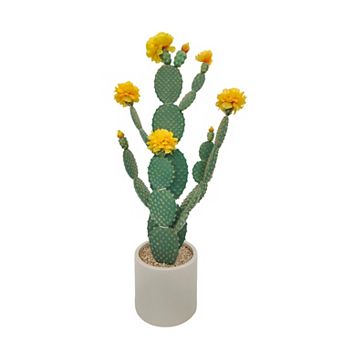 UV Resistant Artificial Cactus Plant with Realistic Texture, Desert Cacti Potted Plant with Planter