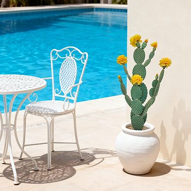 UV Resistant Artificial Cactus Plant with Realistic Texture, Desert Cacti Potted Plant with Planter