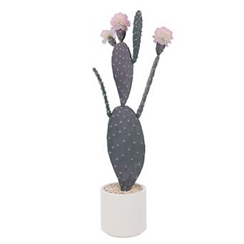 Artificial Cactus Plant with Planter & Real Gravel, UV Resistant Faux Desert Plant