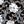 Black White Flower