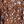 Brown Blue Floral