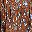 Brown Blue Floral