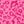 Pink Leopard