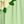 Light Green White