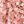 Pink White Floral