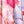 Pink White Purple