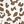 White Brown Leopard