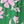 Green Pink Floral