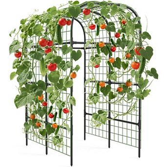 Metal Garden Arch Trellis for Raised Beds, Sturdy Black Plant Support Frame for Climbing Vegetables