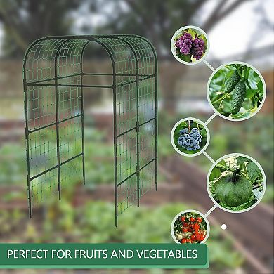 Metal Garden Arch Trellis for Raised Beds, Sturdy Black Plant Support Frame for Climbing Vegetables