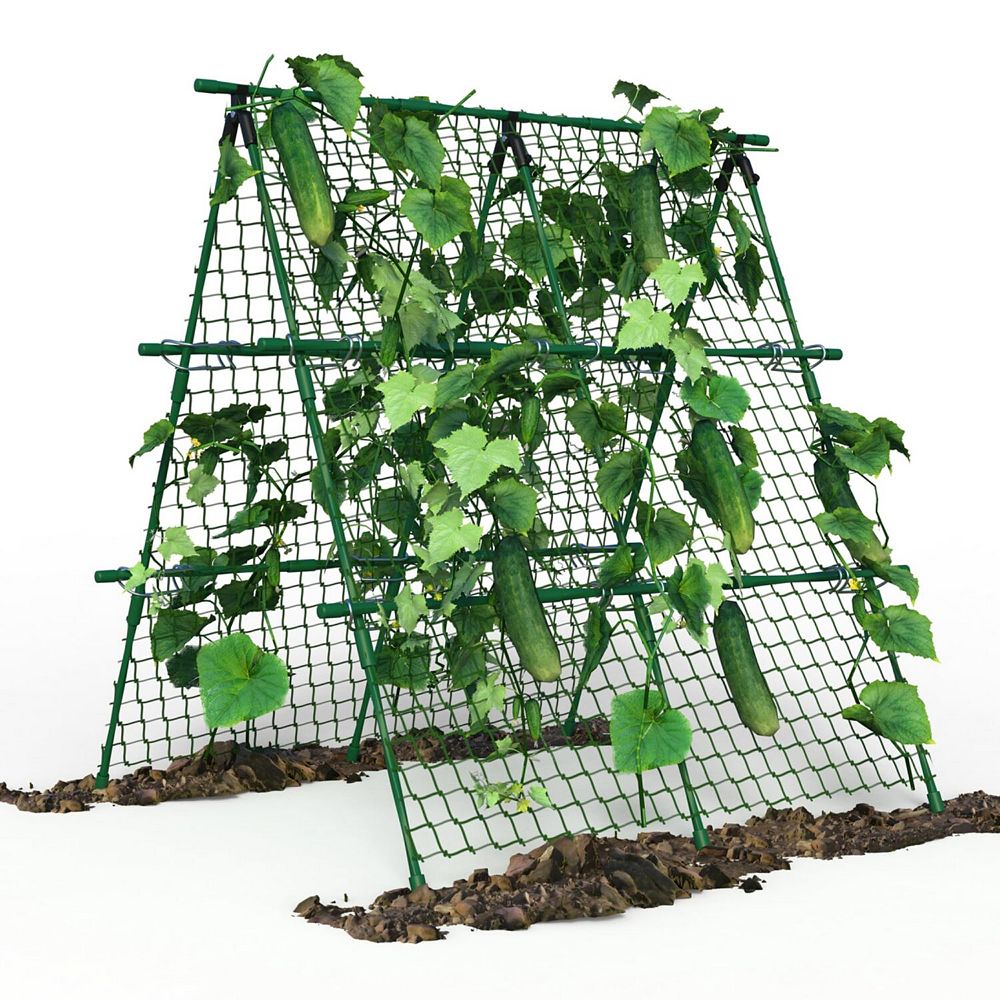 A-Frame Garden Trellis Climbing Plant Outdoor Support Fruit Vegetable ...