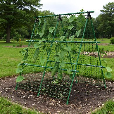 A-Frame Garden Trellis Climbing Plant Outdoor Support Fruit Vegetable Cucumber Trellis Raised Bed