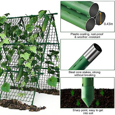 A-Frame Garden Trellis Climbing Plant Outdoor Support Fruit Vegetable Cucumber Trellis Raised Bed