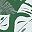 Green White