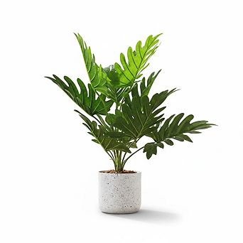Philodendron Fake Plants Set: Decorative Faux Potted Greenery with Realistic Leaves