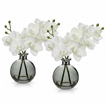 KSIZUIS Artificial Orchids(Set of 2 in Glass Vase,Real Touch Phalaenopsis Dining Room