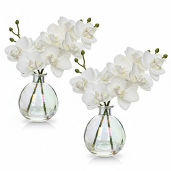 KSIZUIS Artificial Orchids(Set of 2 in Glass Vase,Real Touch Phalaenopsis Dining Room