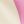 Pink Rose