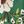 Dark Green Floral