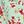 Light Green Floral
