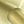 Brushed Gold