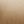 Velvet Khaki