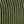Corduroy Green